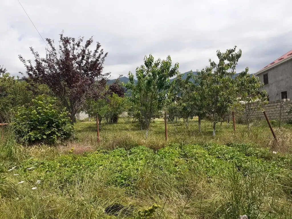 6 sot Torpaq Satılır, Oğuz — Torpaq, Oğuz (5)