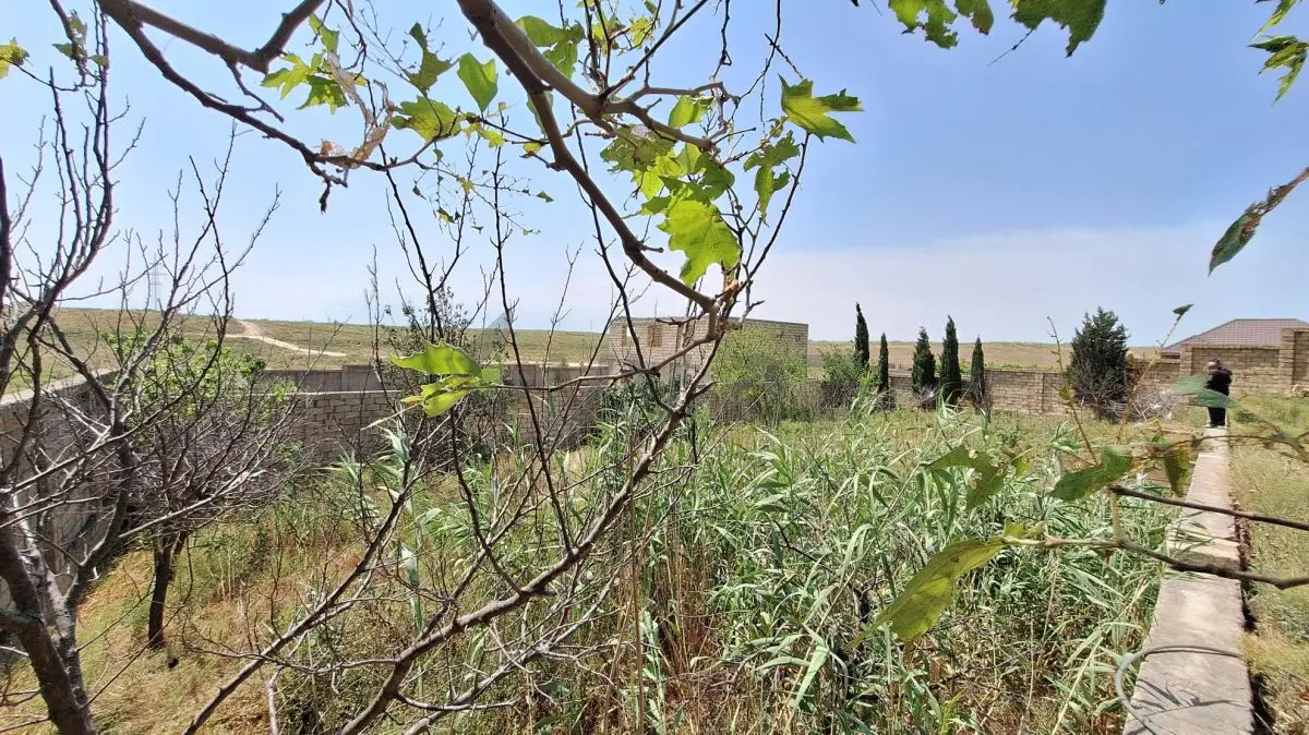 15.5 sot Torpaq Satılır, Masazır, Abşeron — Torpaq (5)