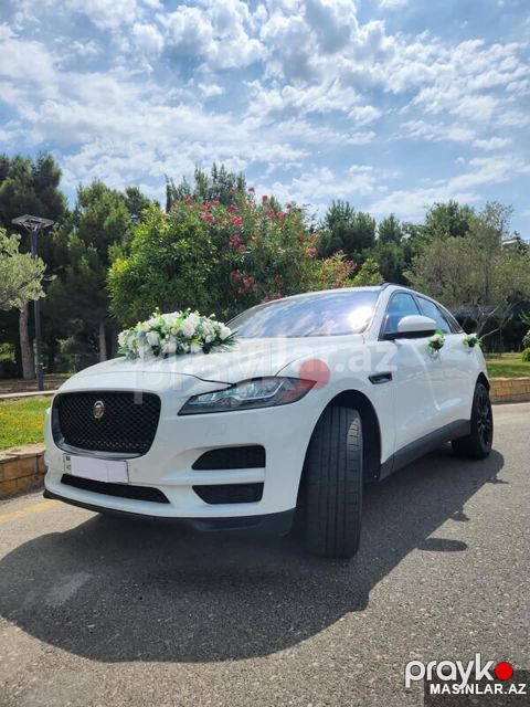 Jaguar Jaguar bey gelin toy masini sifarisi, 2021 il