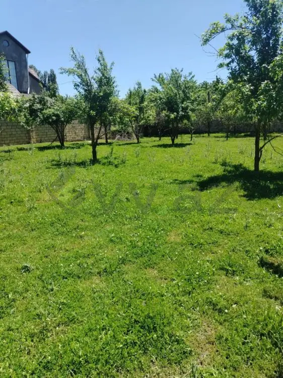 4 sot Torpaq Satılır, Quba — Quba