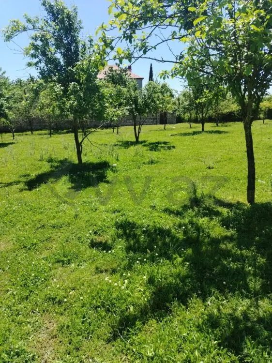 4 sot Torpaq Satılır, Quba — Torpaq, Quba (4)