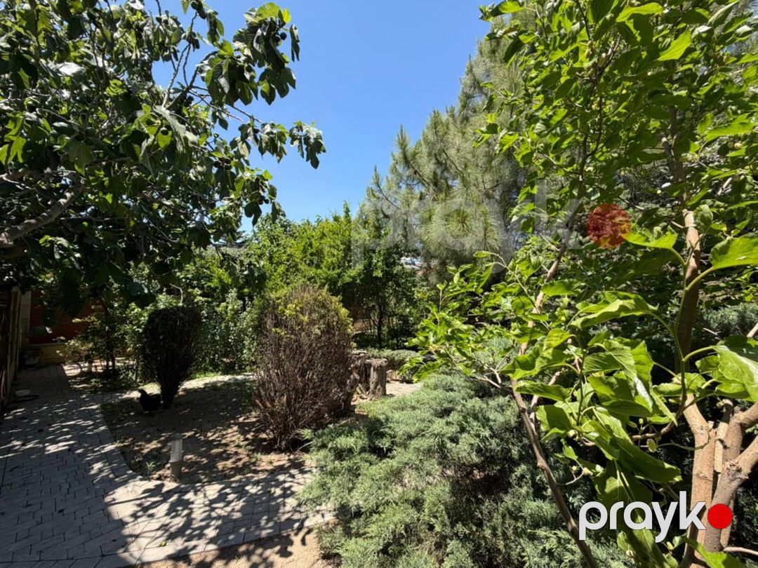Satılır torpaq 2 sot — Torpaq, Bakı (5)