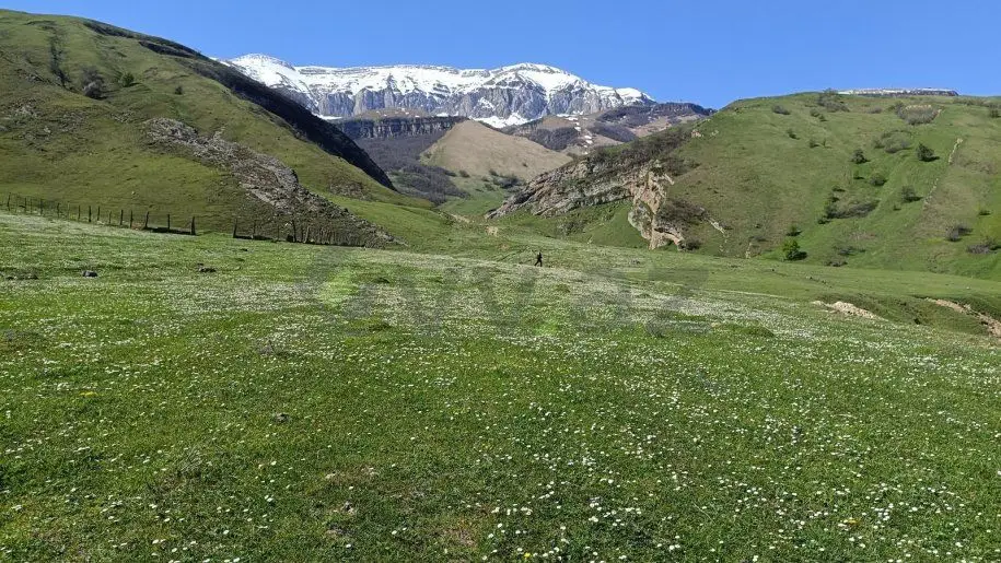 105 sot Torpaq Satılır, Qusar — Qusar
