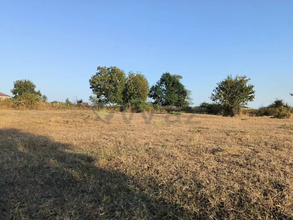 21 sot Torpaq Satılır, Qəbələ — Torpaq, Qəbələ (4)