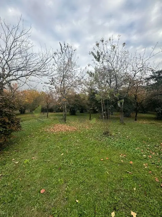 10 sot Torpaq Satılır, Zaqatala — Zaqatala