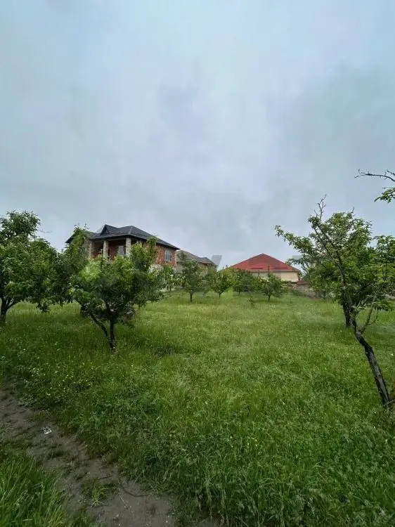 5 sot Torpaq Satılır, Qusar — Torpaq, Qusar (4)