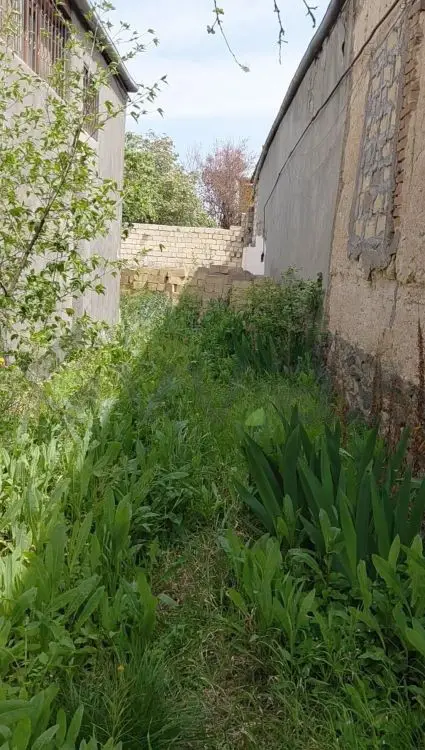 3 sot Torpaq Satılır, Gəncə — Torpaq, Gəncə (4)