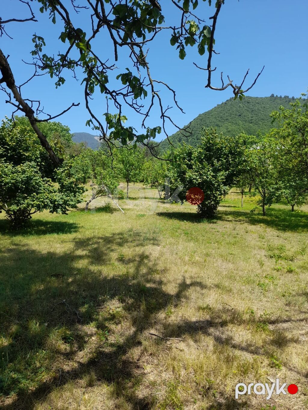 Kənd təsərrüfatı — Torpaq, Bakı (5)