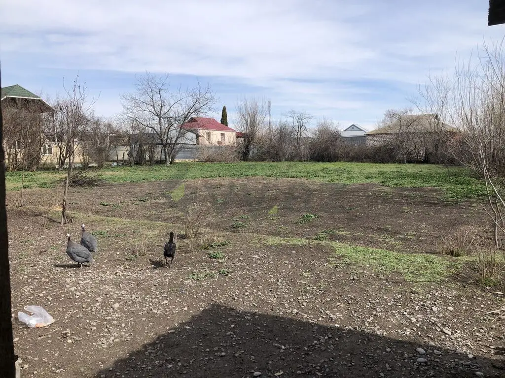 10 sot Torpaq Satılır, Bərdə — Torpaq, Bərdə (6)