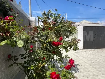 Satılır həyət evi, Məmmədli q — Ev, villa (7)