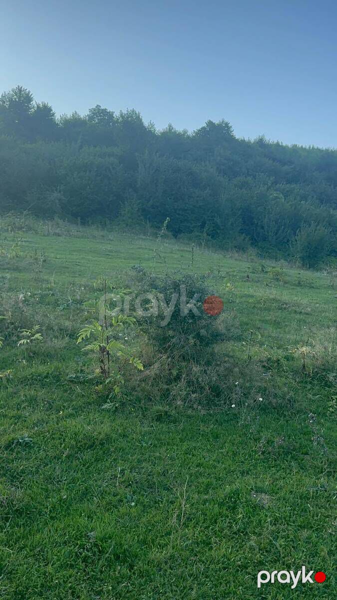 Satılır torpaq 76 sot — Torpaq, Quba (7)