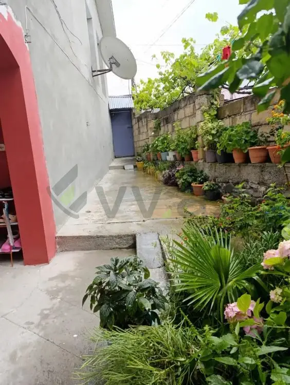 4 otaqlı Həyət evi Satılır, Şəki — Ev, villa, Şəki (10)
