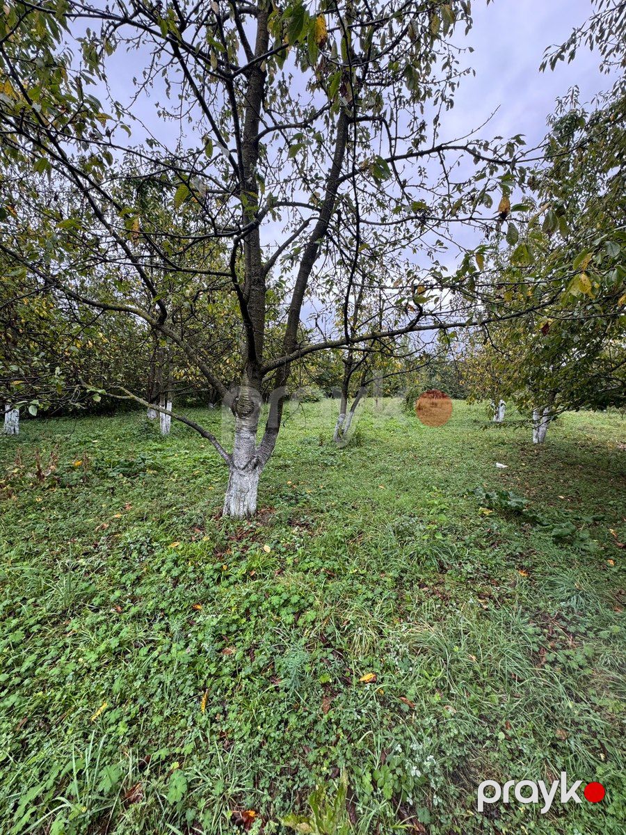 12 sot torpaq sahəsi, Qusar r — Torpaq, Qusar (2)