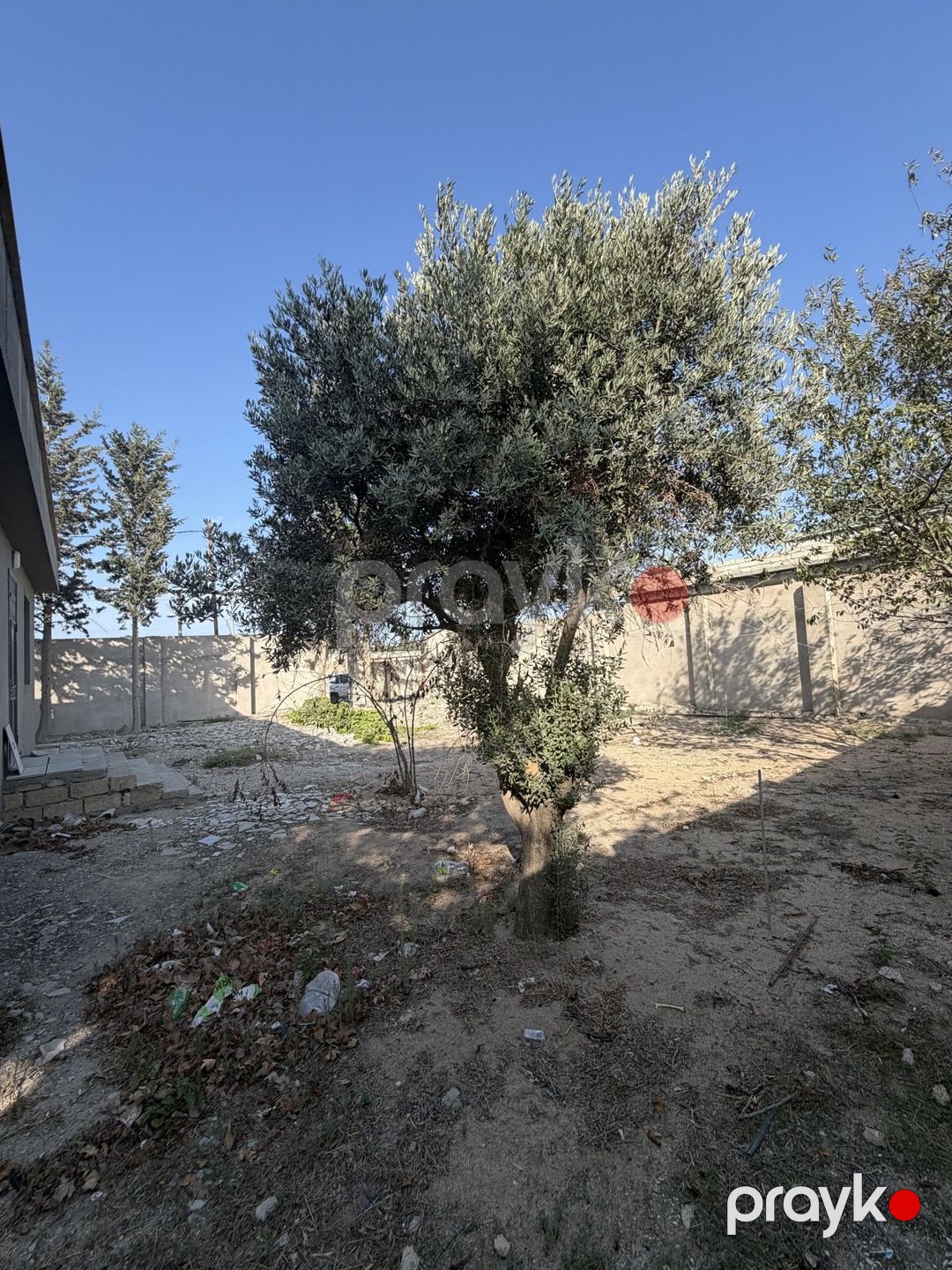 Satılır torpaq 4 sot — Torpaq, Bakı (4)