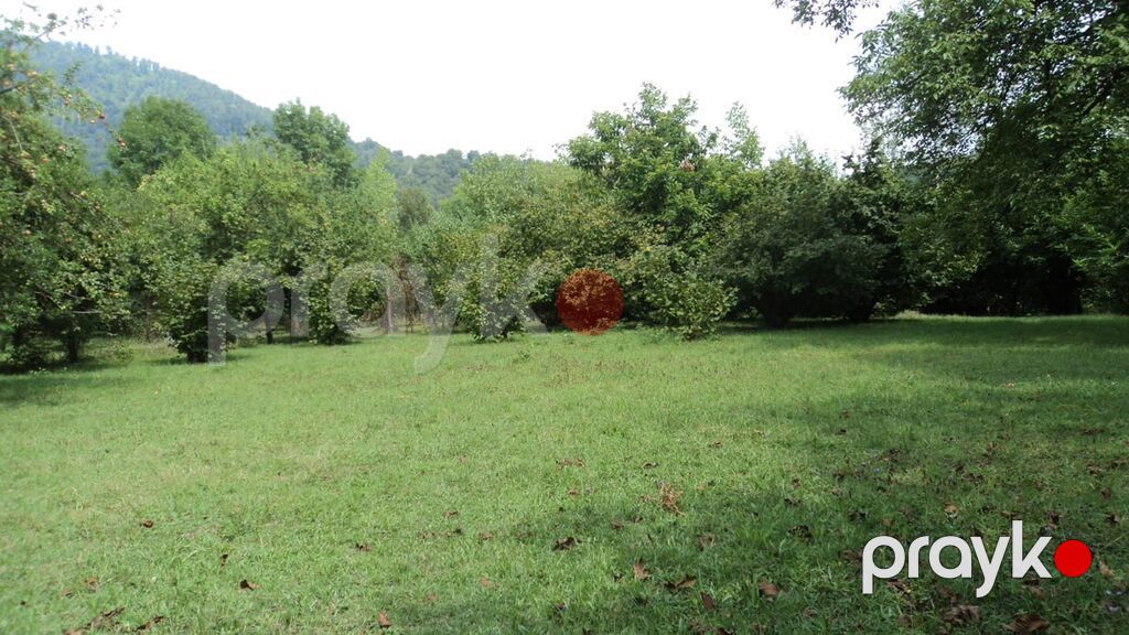 17 sot, Tikinti, Mülkiyyətçi, Kupça (Çıxarış) — Torpaq, Qəbələ (9)