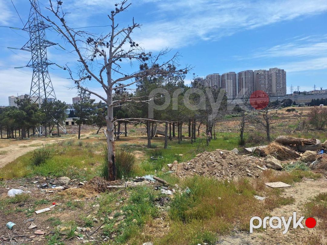 Satılır torpaq 30 sot — Torpaq, Bakı (2)
