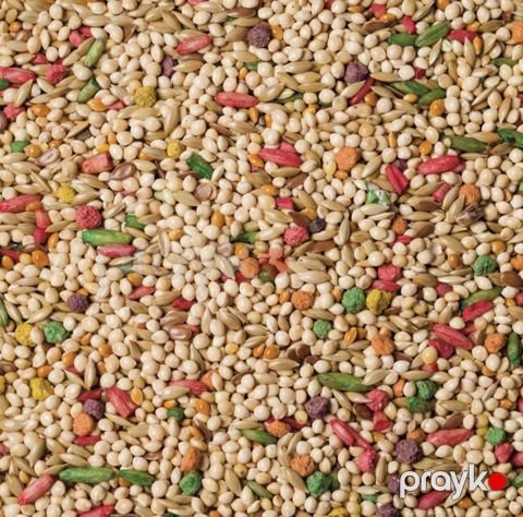 Tutuquşular üçün yem 1 kq Aquazoo — Bakı