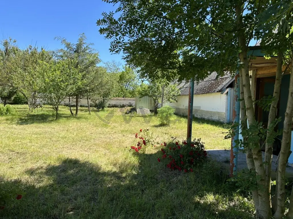 15 sot Torpaq Satılır, Qəbələ — Torpaq, Qəbələ (2)