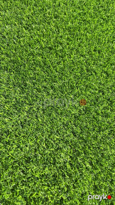 Bağ dekoru 11 plastik 25 mm — Bakı