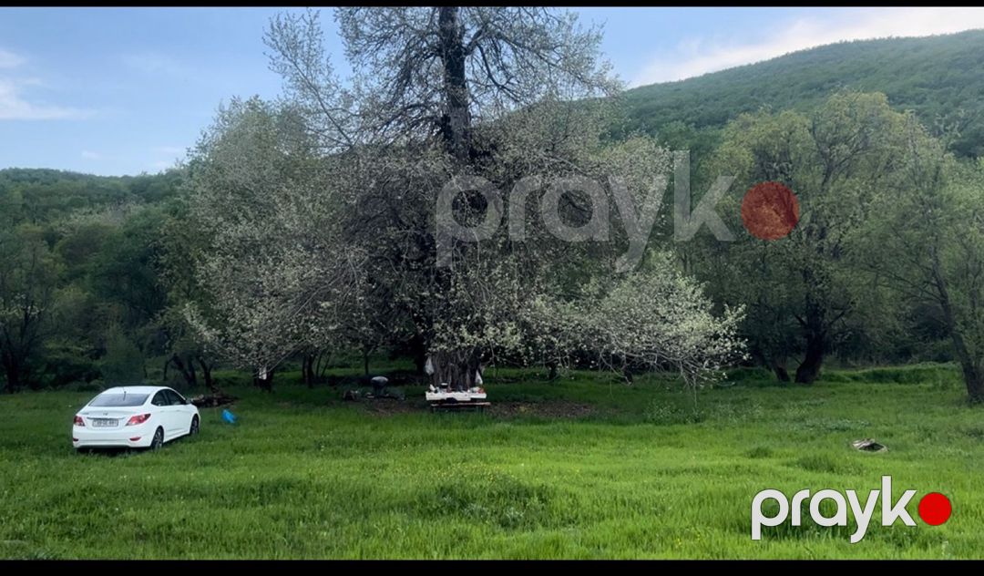 1050 sot torpaq sahəsi, Şamaxı r — Torpaq, Şamaxı (9)