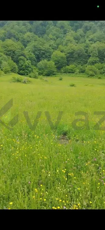 125 sot Torpaq Satılır, Quba — Quba
