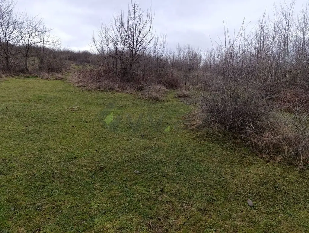 12 sot Torpaq Satılır, Quba — Torpaq, Quba (5)