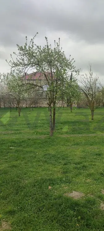 4 sot Torpaq Satılır, Quba — Torpaq, Quba (4)
