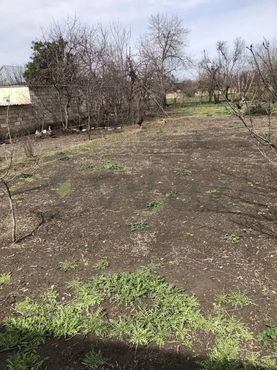10 sot Torpaq Satılır, Bərdə — Torpaq, Bərdə (4)