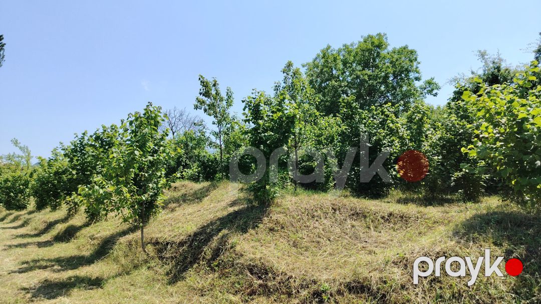 10 sot torpaq sahəsi, Quba r — Torpaq, Quba (3)