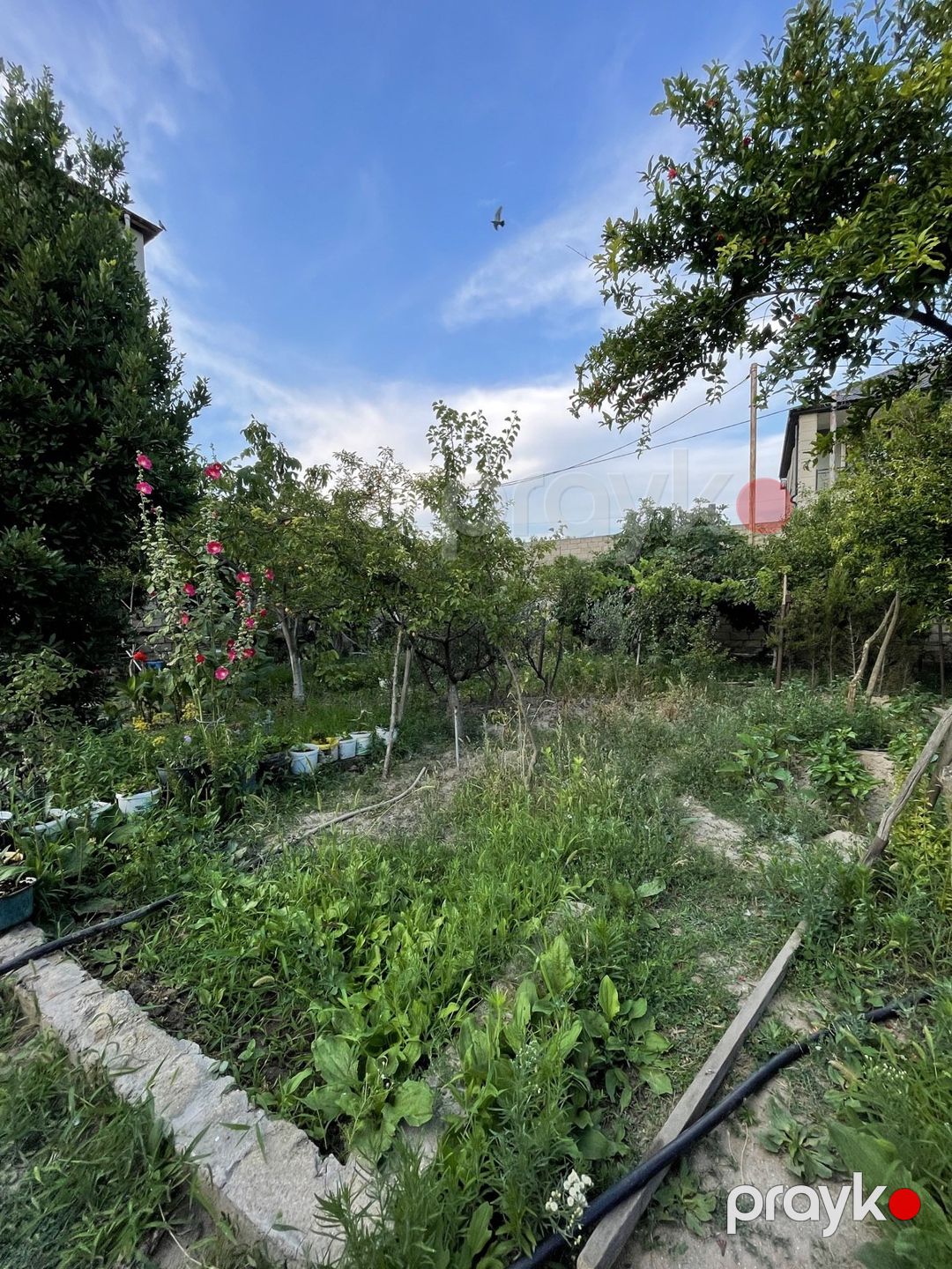 Satılır 7 otaqlı həyət evi/bağ evi 200 m² — Ev, villa, Bakı (5)