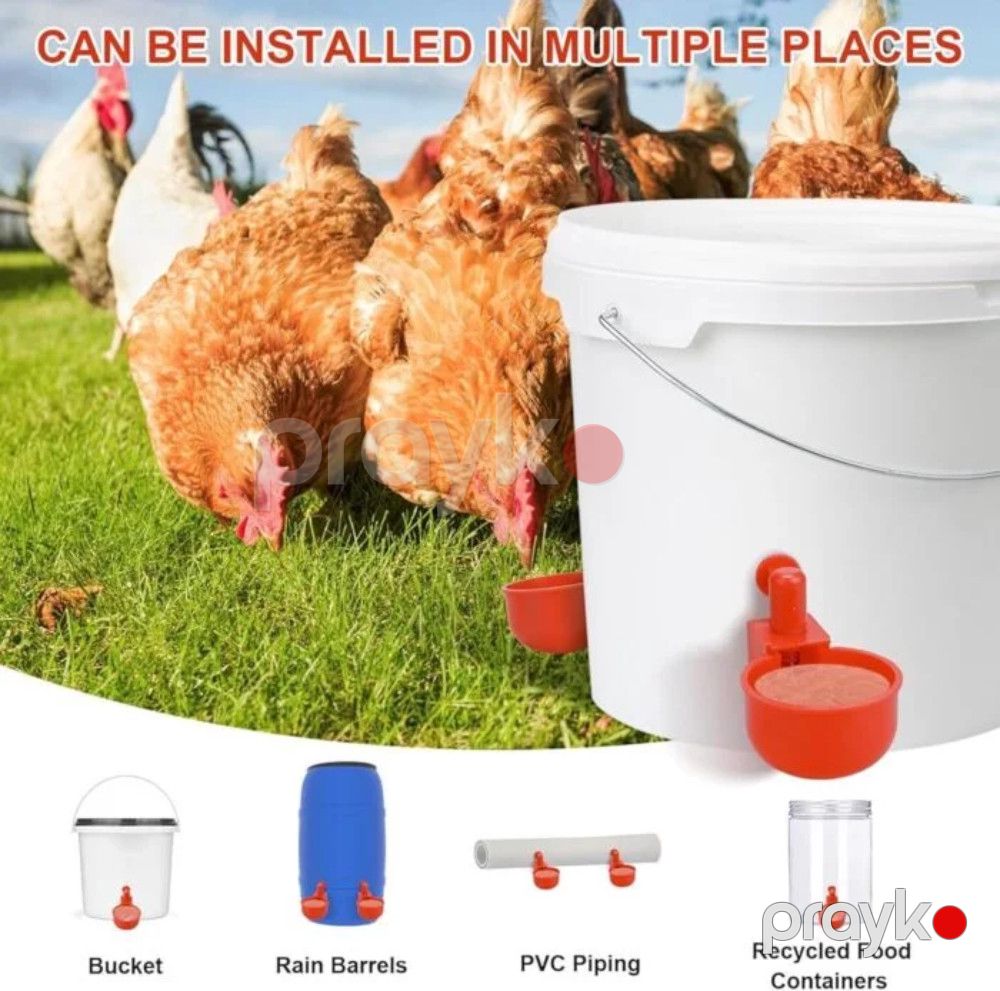 Su təknəsi 2129, plastik, qırmızı — Mallar, Bakı (2)