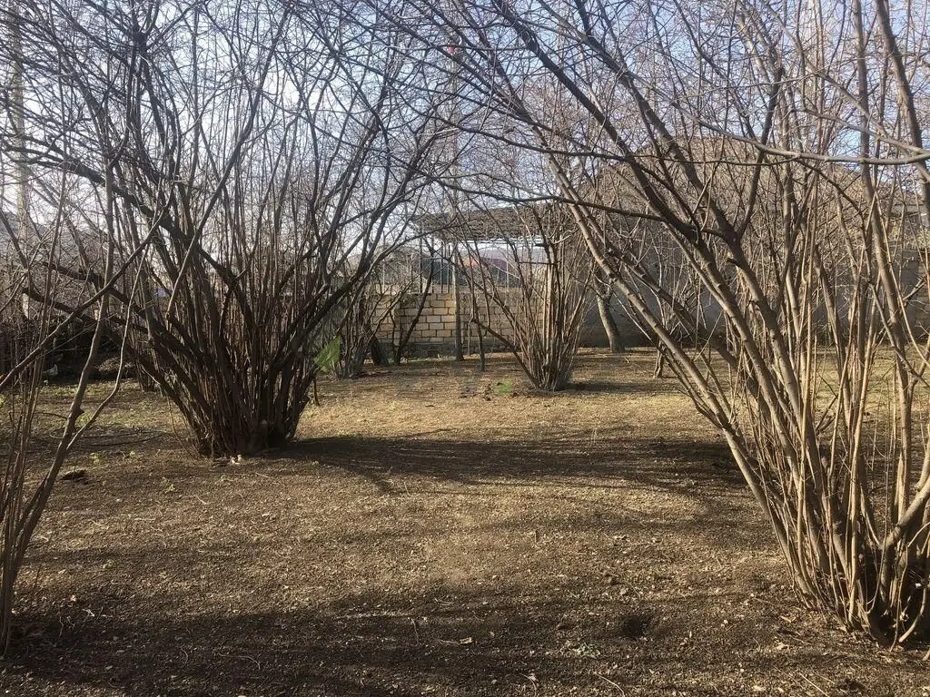 6 sot Torpaq Satılır, Oğuz — Torpaq, Oğuz (2)