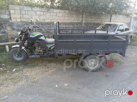 Yeni muravey — Qax