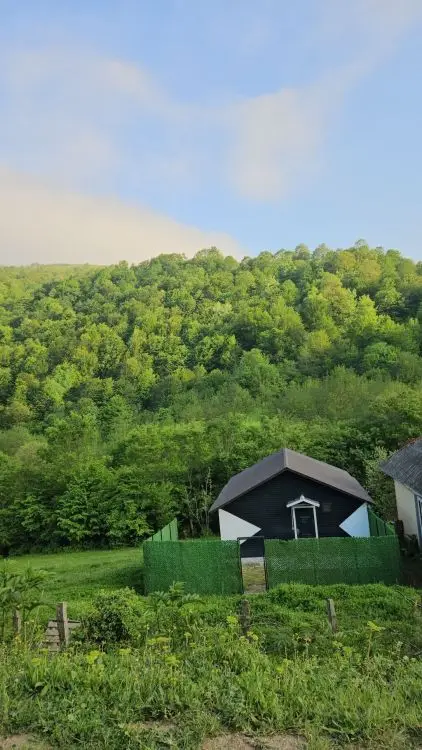 3 otaqlı Həyət evi Kirayə (günlük), Lerik — Ev, villa, Lerik (2)