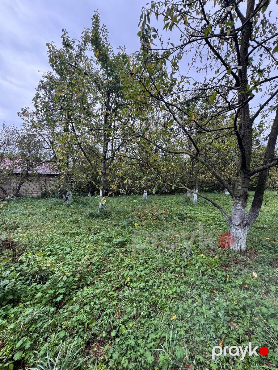 12 sot torpaq sahəsi, Qusar r — Torpaq, Qusar (3)