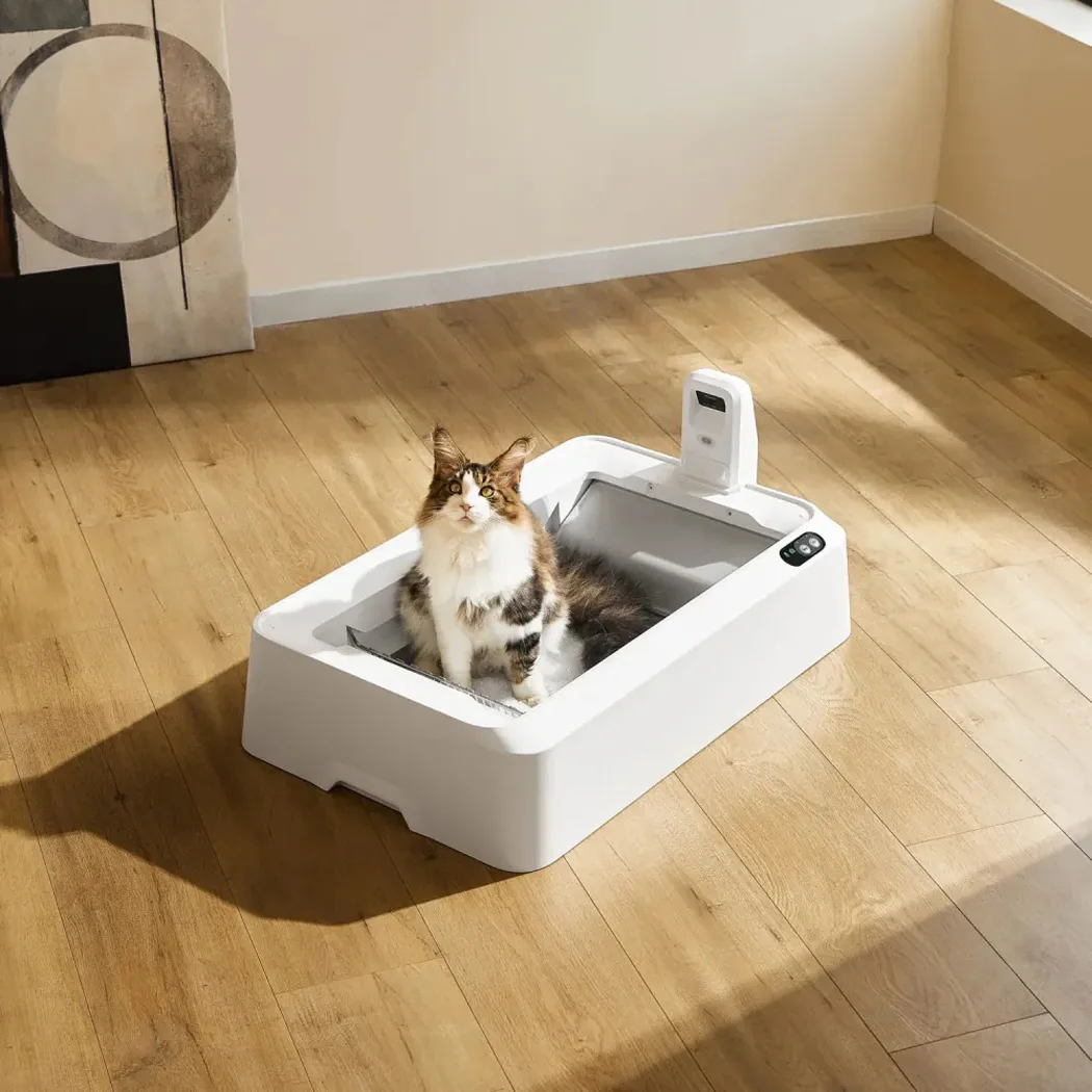 Petkit Purobot Crystal Duo With Camera (P9905) — Mallar, Bakı (4)