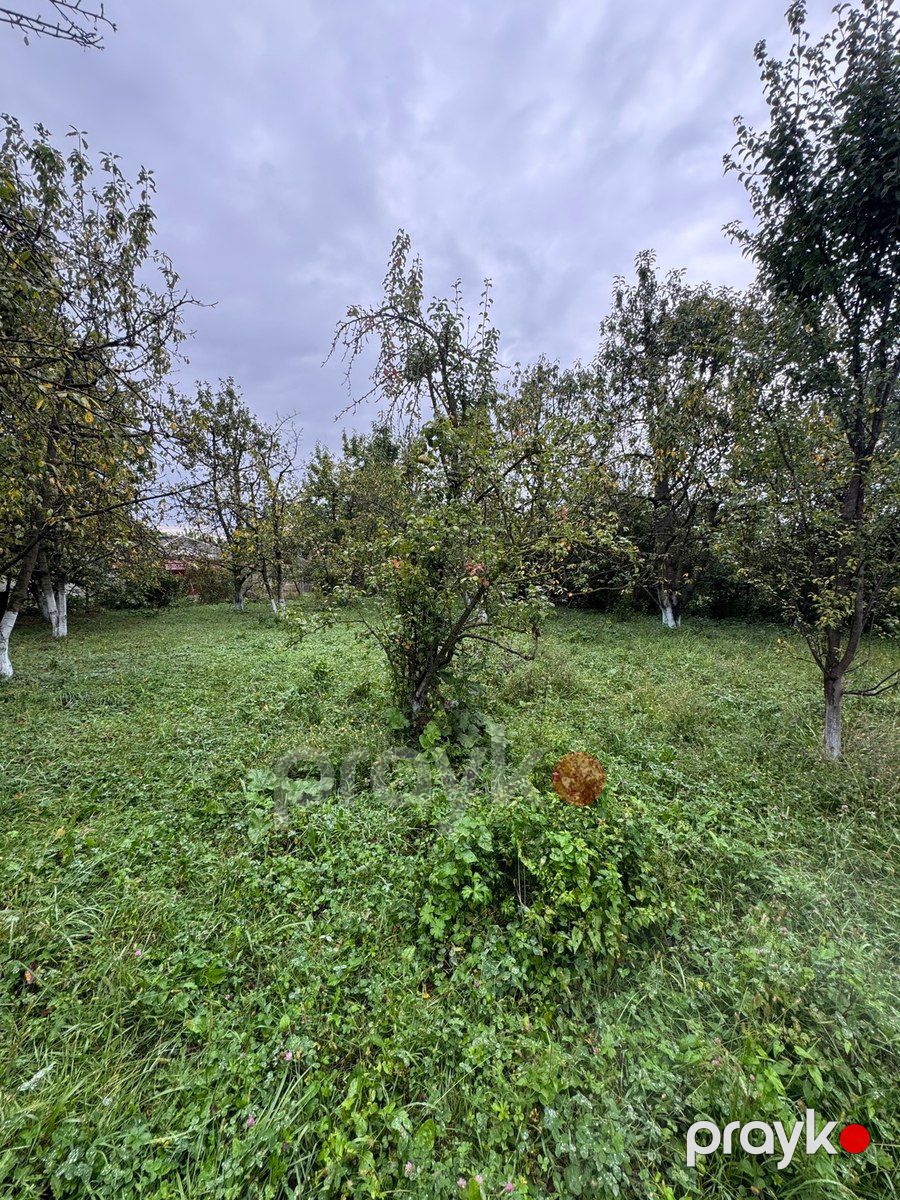 12 sot torpaq sahəsi, Qusar r — Torpaq, Qusar (5)