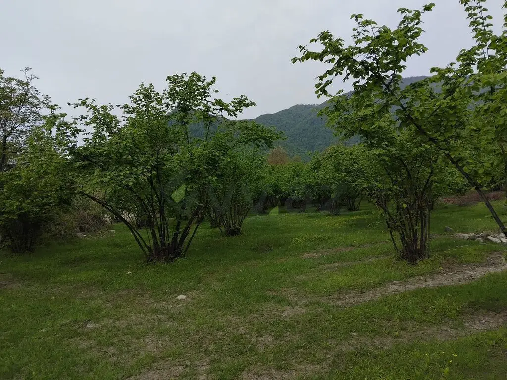 61 sot Torpaq Satılır, Oğuz — Torpaq, Oğuz (5)