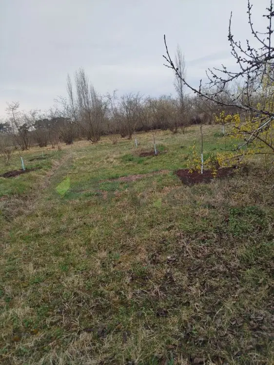 20 sot Torpaq Satılır, Xaçmaz — Torpaq, Xaçmaz (2)