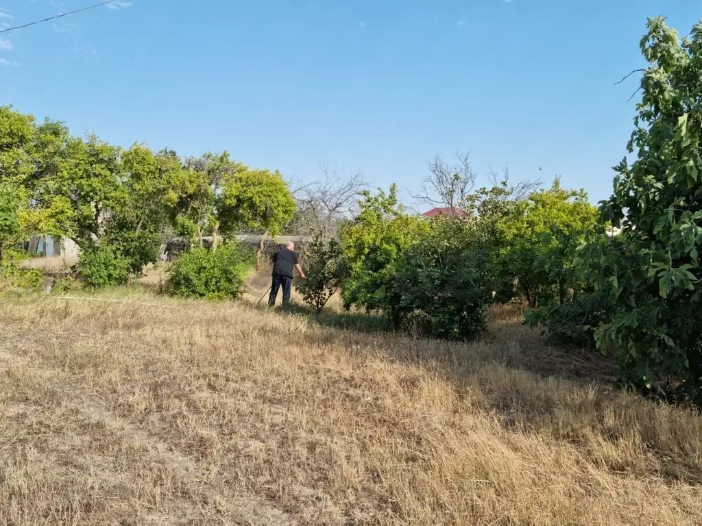 34 sot Torpaq Satılır, Qurd dərəsi, Sumqayıt — Torpaq, Sumqayıt (7)