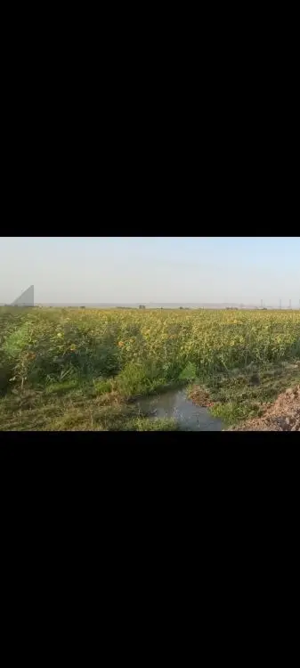 200 sot Torpaq Satılır, Samux — Torpaq, Samux (2)