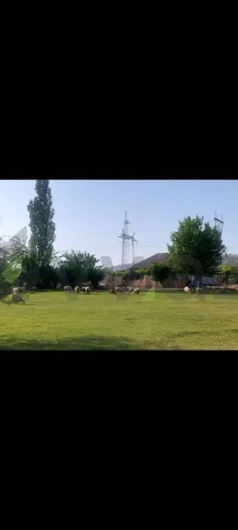 4 otaqlı Həyət evi Satılır, Mingəçevir — Ev, villa, Mingəçevir (5)