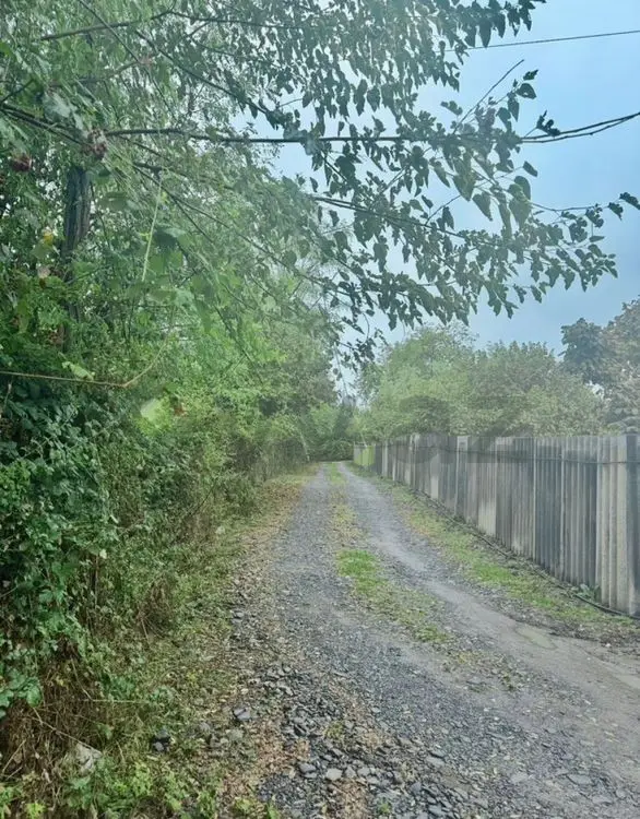 4 sot Torpaq Satılır, Qəbələ — Qəbələ