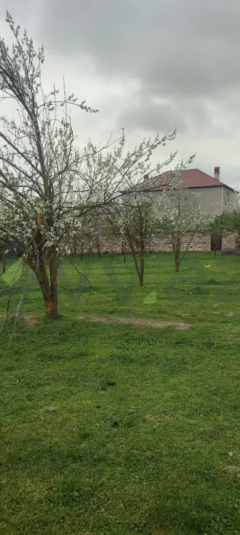 4 sot Torpaq Satılır, Quba — Quba