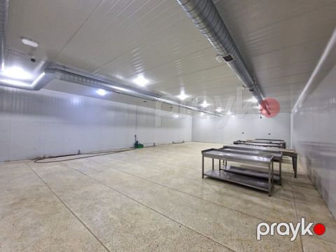 Soyuducu Anbar Kompleksi (minus və plyus ikisi birlikdə) satılır — Bakı