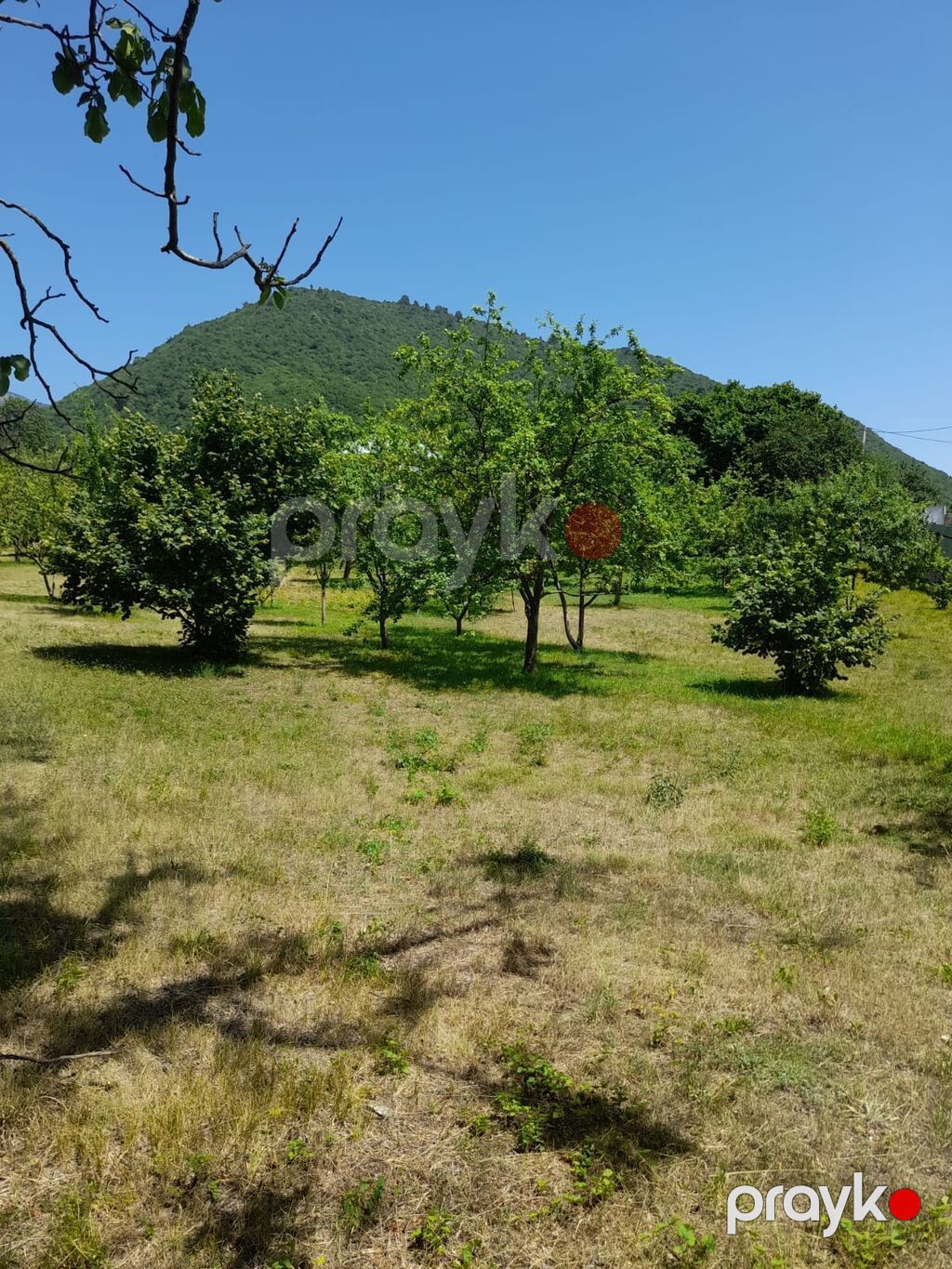 Kənd təsərrüfatı — Torpaq, Bakı (7)