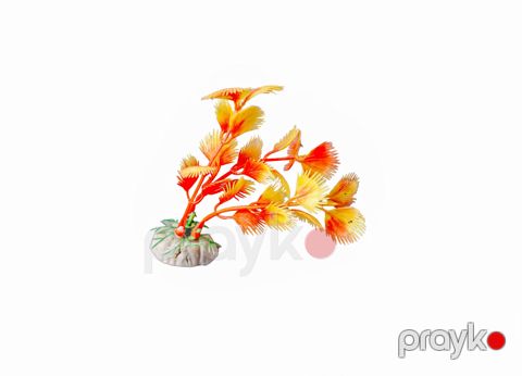 Akvarium bəzəyi üçün dekorativ ot 20896898 — Bakı