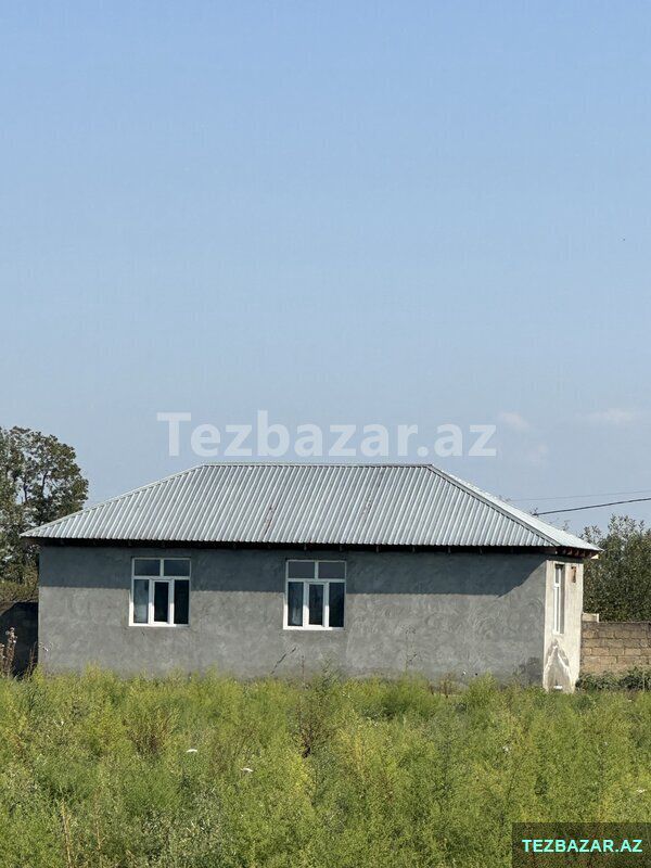 Oğuzda Ferma — Ofis, Bakı (4)
