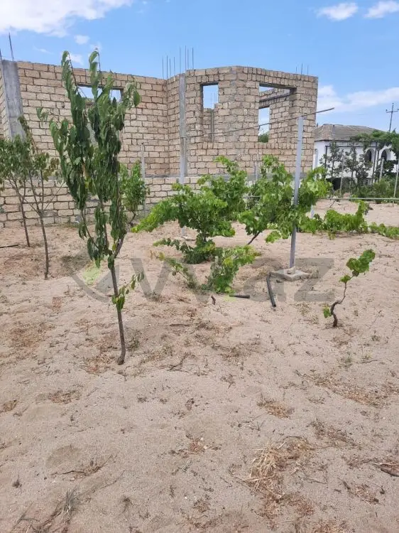 10 sot Torpaq Satılır, Novxanı, Abşeron — Torpaq (6)