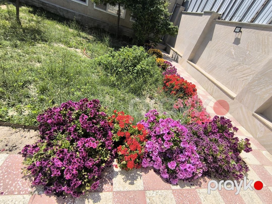 Satılır 5 otaqlı həyət evi/bağ evi 240 m² — Ev, villa, Bakı (8)